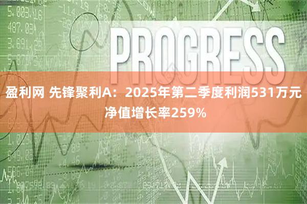 盈利网 先锋聚利A：2025年第二季度利润531万元 净值增长率259%