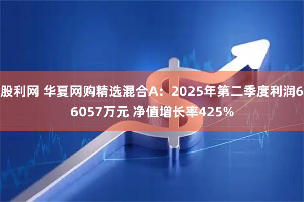 股利网 华夏网购精选混合A：2025年第二季度利润66057万元 净值增长率425%