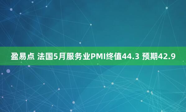 盈易点 法国5月服务业PMI终值44.3 预期42.9